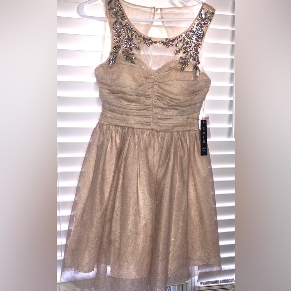 As U Wish Sparkle Dress
